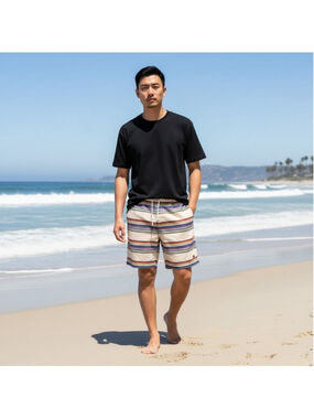 Lifted Research Group Multicolor Striped Hybrid Shorts Size 38 Waist